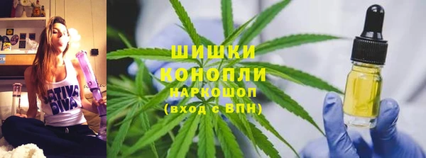 прущие грибы Зерноград