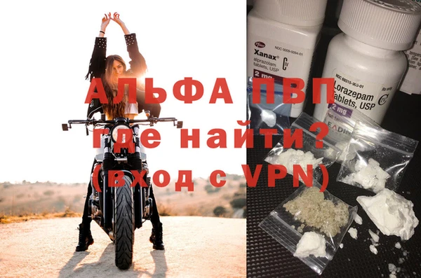 ПСИЛОЦИБИНОВЫЕ ГРИБЫ Семилуки