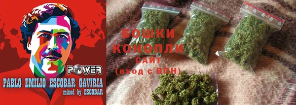 молекула духа Семёнов