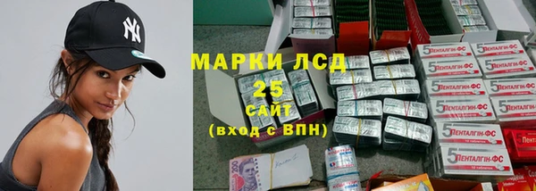 прущие грибы Зерноград