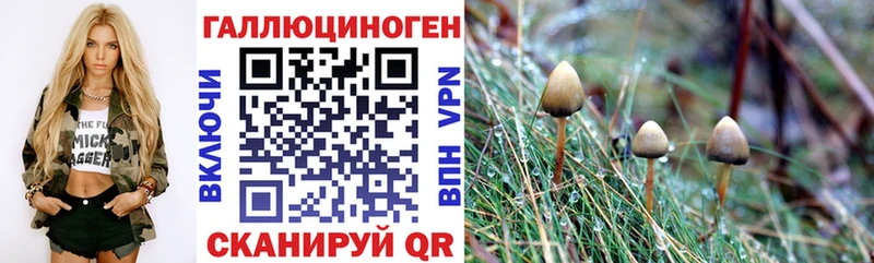Псилоцибиновые грибы ЛСД  закладка  Любань 